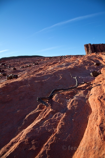 Die Schatten werden länger